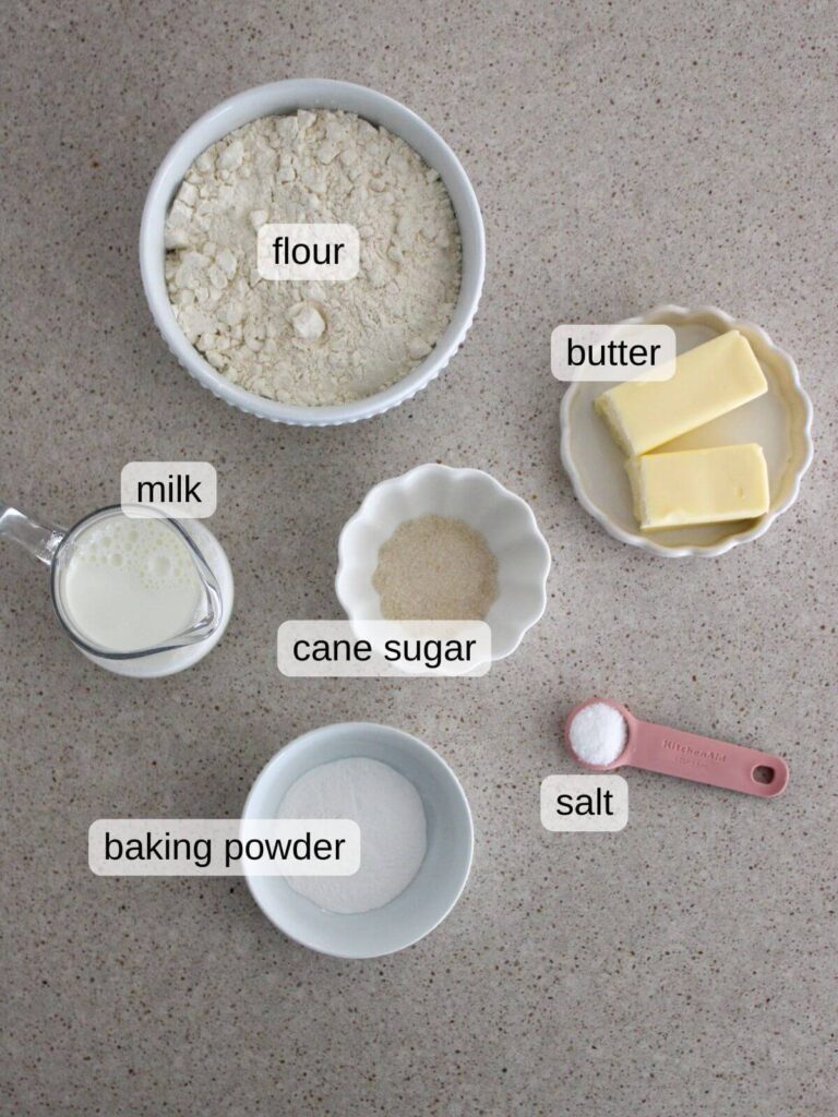 a flat lay of the ingredients needed to make this recipe