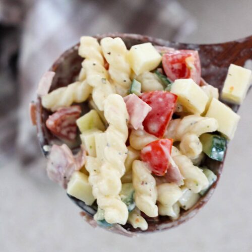 Pasta salad mixed all together and ready to eat on a wooden spoon
